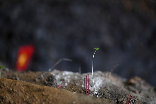 Mục tiêu là tìm kiếm đầy đủ các hài cốt còn nằm lại dưới lòng đất. Đồng thời, các đơn vị sẽ thu thập mẫu ADN và đối chiếu thông tin để sớm xác định danh tính, đưa các liệt sĩ trở về với gia đình sau gần sáu thập kỷ chờ đợi.
