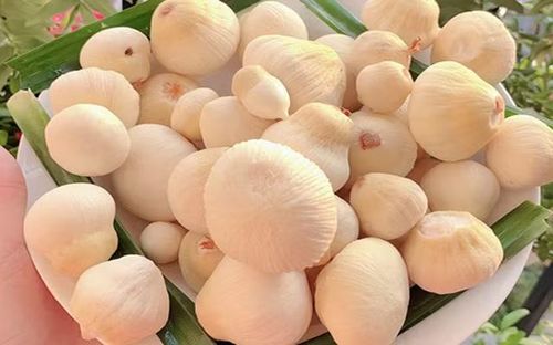 Mộng dừa được đóng hộp bày bán tại cửa hàng trái cây.