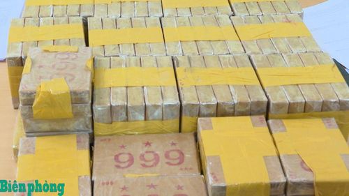 Tang vật 72 bánh heroin bị thu giữ. Ảnh: Anh Dũng