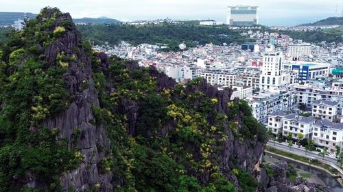 Hoa phát tài núi khoe sắc bên bờ di sản. (Ảnh: Đức Hiếu/ TTXVN)