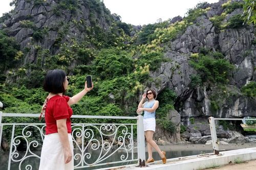 Du khách check-in cùng hoa phát tài núi. (Ảnh: Đức Hiếu/TTXVN)