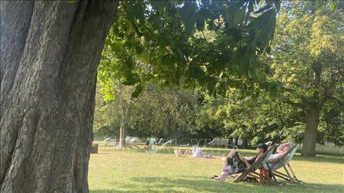 Các công viên ở London trở thành nơi "trú ẩn tự nhiên" trong thời gian Cơ quan khí tượng quốc gia Anh ban hành cảnh báo đỏ vì nắng nóng. Ảnh: Hương Giang/PV TTXVN tại Anh