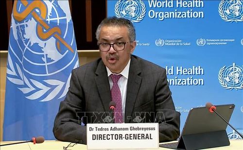 Tổng giám đốc WHO Tedros Adhanom Ghebreyesus. Ảnh: AFP/TTXVN