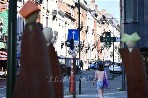 Nhiệt kế ngoài trời chỉ mức nhiệt 37 độ C tại Brussels, Bỉ, ngày 26/6/2026. Ảnh: THX/TTXVN phát