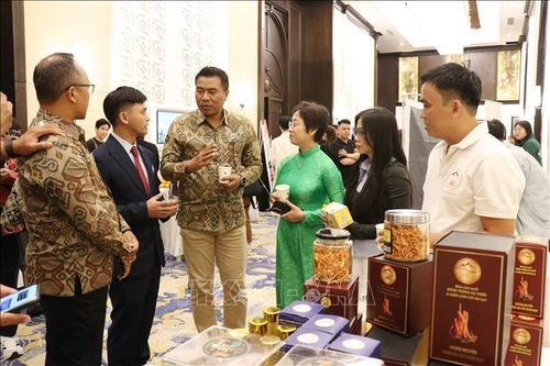 Đại diện các doanh nghiệp du lịch Indonesia tham quan, tìm hiểu các sản phẩm nông nghiệp đặc trưng của tỉnh Lâm Đồng nhằm kết nối, phát triển các sản phẩm du lịch nông nghiệp bên lề chương trình.
