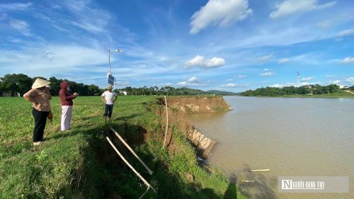 Bờ sông Mã bị sạt lở, khoét sâu vào đất nông nghiệp mỗi năm.