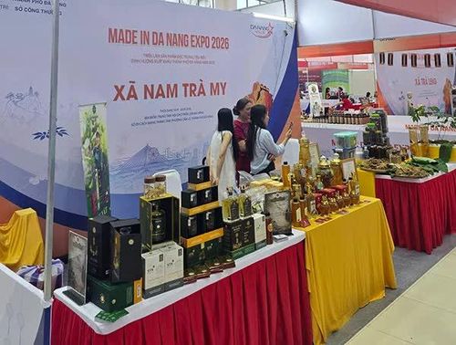 Sản phẩm sâm Ngọc Linh của xã Nam Trà My tham dự hội chợ hàng xuất khẩu TP Đà Nẵng năm 2026.