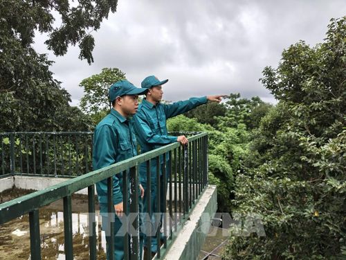 Lực lượng chốt dân quân thường trực Ban chỉ huy Quân sự xã Đăk Ơ làm nhiệm vụ. Ảnh: K GƯỈH - TTXVN