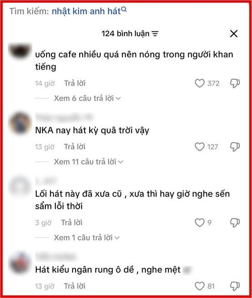 Giọng hát của Nhật Kim Anh nhận về nhiều ý kiến trái chiều.
