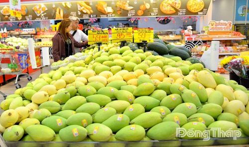 Nông sản Đồng Tháp được đưa vào hệ thống phân phối hiện đại, mở rộng thị trường tiêu thụ và gia tăng giá trị sản phẩm.