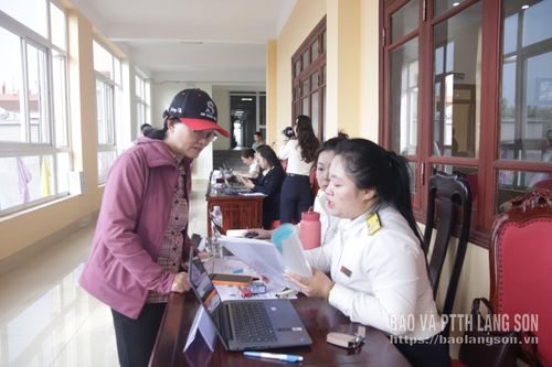 Cán bộ Thuế cơ sở 5 hướng dẫn người nộp thuế các chính sách thuế mới