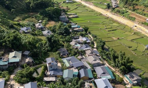 Những nếp nhà mộc mạc, những phiên chợ vùng cao, nghề truyền thống, lễ hội và nếp sinh hoạt của đồng bào Mông, Thái cùng các dân tộc khác tạo nên bức tranh đời sống sinh động, góp phần làm phong phú thêm trải nghiệm của du khách.