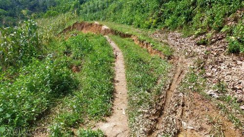 Cung sạt lớn tại thôn 9 Mai Đào, xã Thượng Hà; phía dưới là khu vực người dân đang sinh sống, sản xuất.
