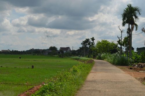 Thôn Thanh Sơn, đổi thay từ giảm nghèo bền vững ở xã Đắk Sắk
