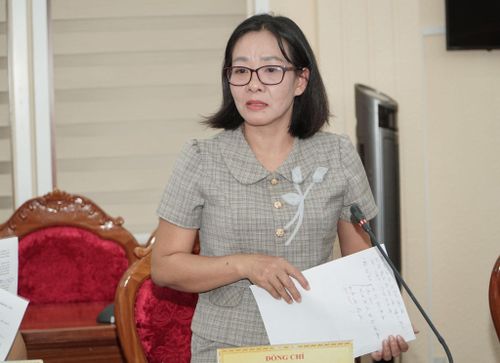 Lãnh đạo Sở Văn hóa, Thể thao và Du lịch báo cáo tại hội nghị