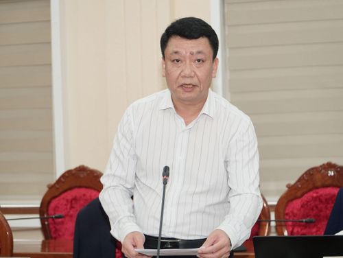 Lãnh đạo Sở Ngoại vụ báo cáo tại hội nghị