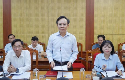 Đồng chí Hoàng Xuân Tân, Phó Chủ tịch UBND tỉnh phát biểu kết luận tại buổi làm việc - Ảnh: H.N