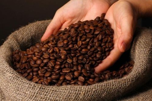 Giá cà phê hôm nay giảm giảm từ 1.900 - 2.200 đồng/kg. Ảnh minh họa