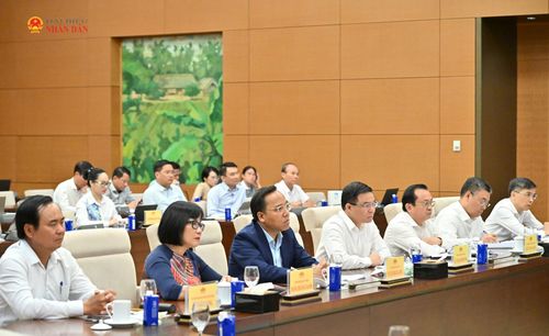 Các đại biểu dự phiên họp