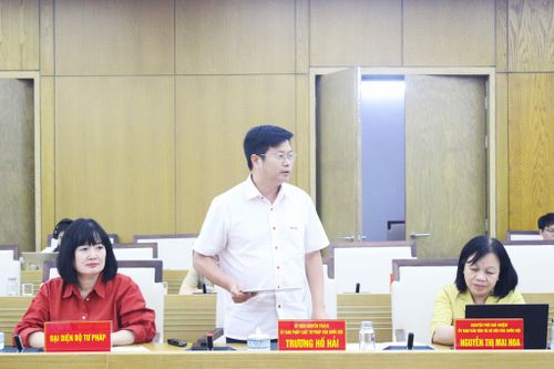 Đại biểu Quốc hội hoạt động chuyên trách tại Ủy ban Pháp luật và Tư pháp Trương Hồ Hải phát biểu