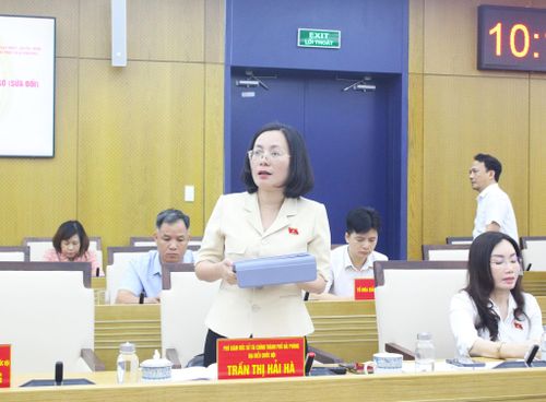 ĐBQH, Phó Giám đốc Sở Tài chính thành phố Hải Phòng Trần Thị Hải Hà phát biểu