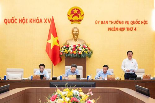 Phó Chủ tịch Quốc hội Nguyễn Hồng Diên phát biểu kết luận phiên họp. Ảnh: CTTĐT Quốc hội
