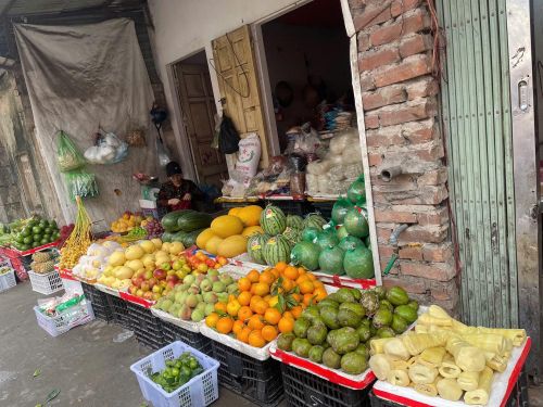 Trái cây cũng phong phú về chủng loại.