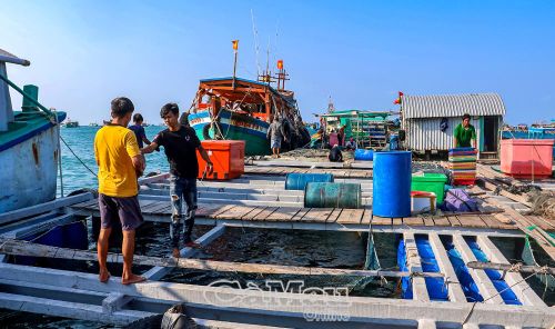 Cà Mau đang phát triển nghề nuôi hải sản trên biển. (Ảnh chụp tại Hòn Chuối, Ấp 1, xã Sông Ðốc).