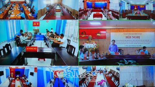 Hội nghị được kết nối trực tuyến với các điểm cầu địa phương tham gia Đề án.