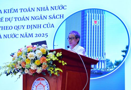 Ông Phan Trường Giang - Phó Kiểm toán trưởng KTNN chuyên ngành II phát biểu. Ảnh: Thùy Anh