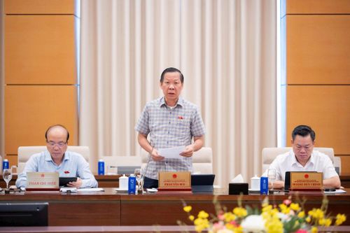 Chủ nhiệm Ủy ban Kinh tế và Tài chính của Quốc hội Phan Văn Mãi báo cáo thẩm tra dự án Luật. Ảnh: media.quochoi.vn