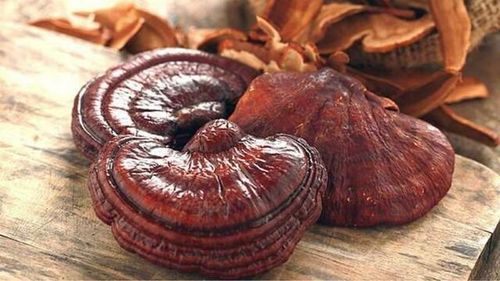 Nhiều người cho rằng uống nấm linh chi với liều cao sẽ giúp cải thiện sức khỏe nhanh hơn, tuy nhiên đây là quan niệm sai lầm.