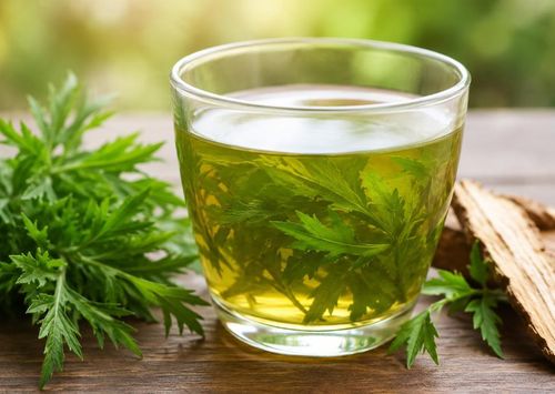 Nên sử dụng nước lá đinh lăng với lượng vừa phải, dùng xen kẽ với nước lọc và các loại đồ uống khác, không nên uống thay hoàn toàn nước lọc…