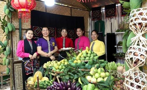 Bên cạnh phát huy lợi thế văn hóa truyền thống, tỉnh Sơn La cũng đẩy mạnh du lịch nông nghiệp, nông thôn tạo trải nghiệm cho du khách