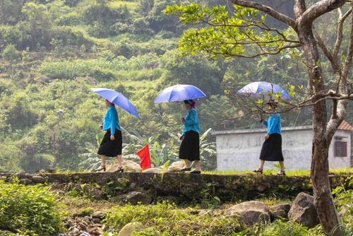 Chị em phụ nữ Sán Chỉ ở Húc Động (cũ), nay là xã Bình Liêu, trên đường đi hội