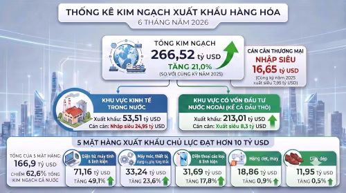 Đồ họa: VIỆT HẢI