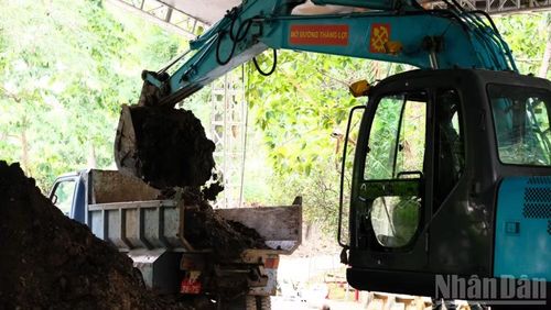 Khối lượng đất đào lên khoảng 50m3.