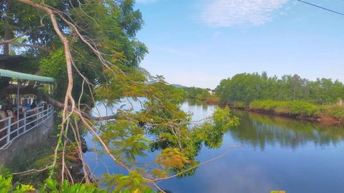 Bến Bà Giày (dòng sông Trầu, Tam Mỹ) liên quan đến “Bến Thất tình”.