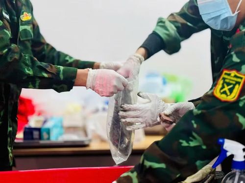 Di vật được tìm thấy cùng các bộ hài cốt liệt sĩ tại Công viên Lê Thị Riêng.