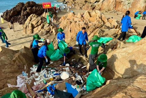 Thu gom, xử lý rác thải trên bãi biển