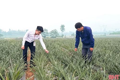 Tăng trưởng tín dụng tăng mạnh, đáp ứng nhu cầu vốn cho sản xuất, kinh doanh.