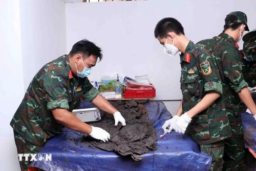 Bóc tách từng lớp vải đã mục để tìm kiếm di vật, hài cốt các anh hùng liệt sỹ. (Ảnh: Xuân Khu/TTXVN)