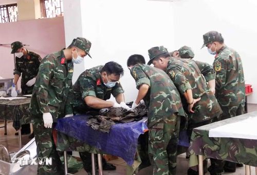 Công tác cất bốc hài cốt liệt sỹ được tiến hành cẩn trọng, chu đáo. (Ảnh: Xuân Khu/TTXVN)