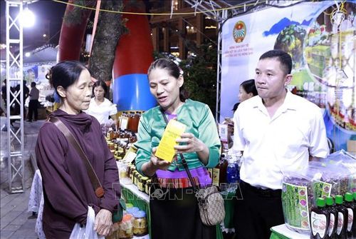 Du khách tham quan, tìm hiểu các sản phẩm nông sản đặc trưng và sản phẩm OCOP tại Tuần lễ trưng bày, giới thiệu và kết nối tiêu thụ nông sản tỉnh Phú Thọ. Ảnh: Hoàng Hùng/TTXVN