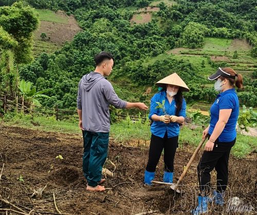Người dân, đoàn viên, thanh niên tham gia trồng cây cà phê, mắc ca.