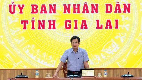  Lãnh đạo Sở Nông nghiệp và Môi trường quán triệt một số nội dung tại hội nghị tập huấn. Ảnh: Nhật Trường 