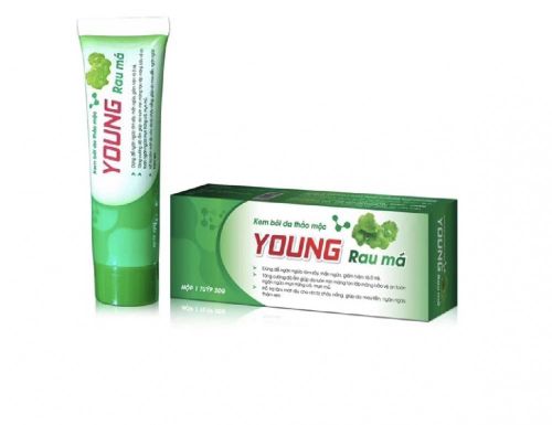 Kem bôi da thảo mộc YOUNG RAU MÁ - Hộp 1 tuýp 20g bị thu hồi (Ảnh: Internet).