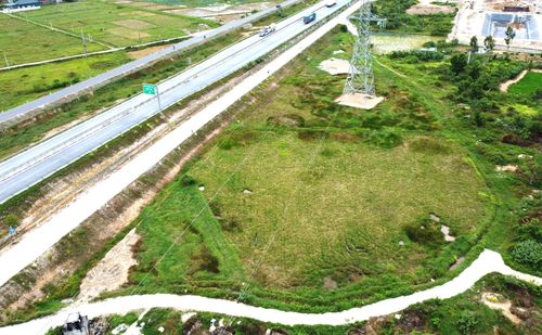 Gần 1ha đất lúa của 6 hộ dân xóm Nho Lâm, xã Tân Châu phải bỏ hoang từ 4 năm nay.