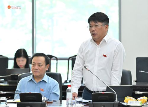 ĐBQH hoạt động chuyên trách tại Ủy ban Văn hóa và Xã hội Phạm Trọng Cường tại phiên họp