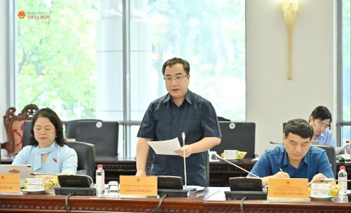Phó Chủ nhiệm Ủy ban Văn hóa và Xã hội Đặng Xuân Phương trình bày dự thảo Báo cáo thẩm tra sơ bộ